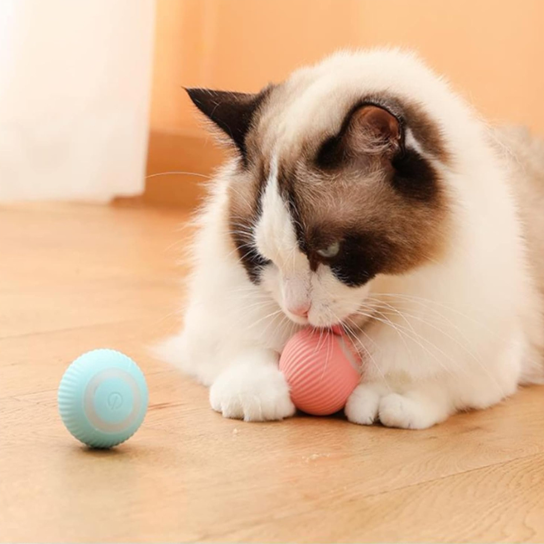 Pelota interactiva para gatos